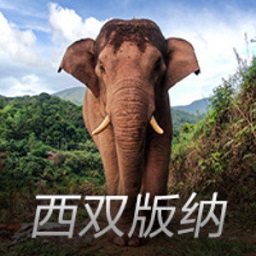 居勒尔回复索博斯洛伊：这家伙真搞笑，6个球不能让你闭嘴吗
